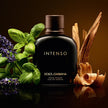 D&G INTENSO 4.2OZ, MEN'S PERFUME, EDP